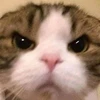 わ