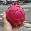 ひろろろろろろろろろろろろろ