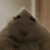 なすび