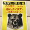くまもぐら