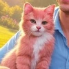 ねこちゃん