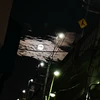 莉音