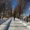 TomomiS