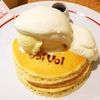 のこ