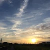 はる