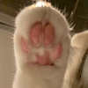 たかたか