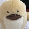 まつもと