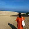 すてふ