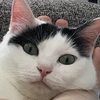 おにぎりマーケット