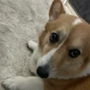 レオナ