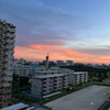 小倉あんこ