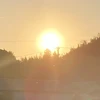 足立んこ