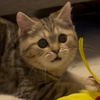 ひとみ