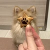 pinoi
