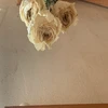 缶詰