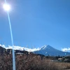茉由