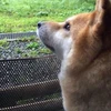 とかのまさのり
