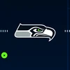 SEAHAWKS12