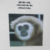 ぽんすけ