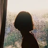窓