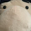 popopopoen