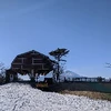よよよ