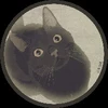 春うらら