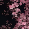たクみ