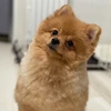 なちゃん