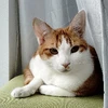 まー