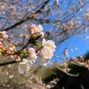 よるるるるん