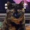 ドロンコ
