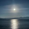 どんぐり太郎