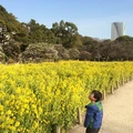 〔期間限定販売〕　芳根京子　チェキ　生写真　プレゼント当選品 期間限定販売〕 芳根京子 チェキ 生写真 プレゼント当選品