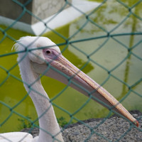 まるに