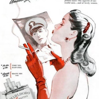 Sera_28