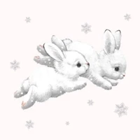 みゃく