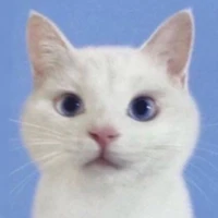 エイ