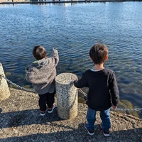 しましましまお