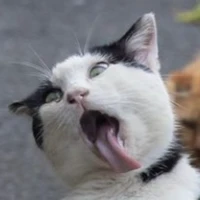 TM