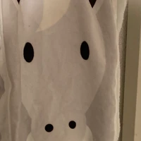 ひか