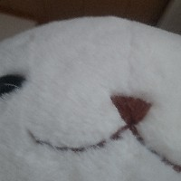 友人月光
