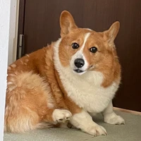あつ