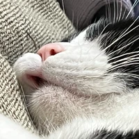 ふぁい