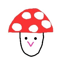 きのこんぐ