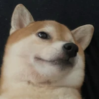 もじゃねる虚無