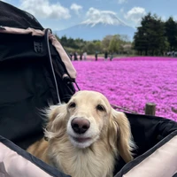リサガス