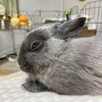 さきくん