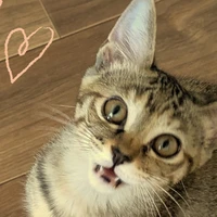 ちゅー