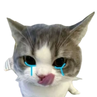 你在干嘛呀